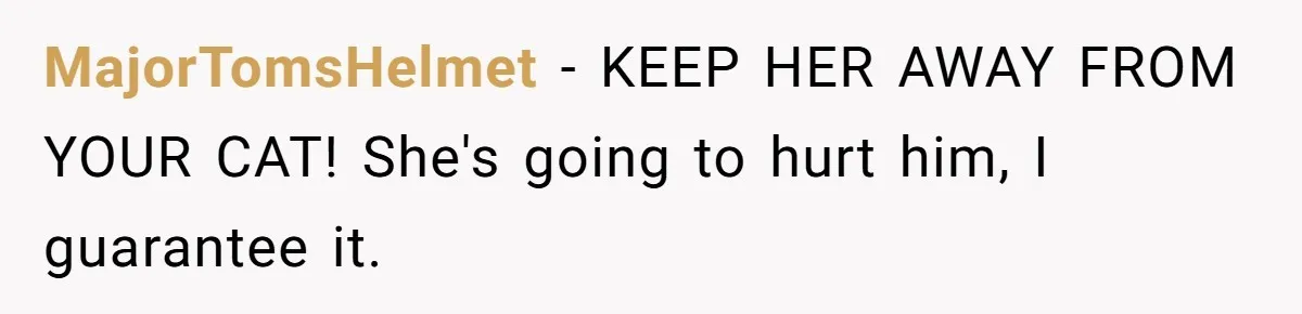 Boyfriend Comes Home To Missing Cat, Learns Girlfriend's Action And Serves Her Eviction Notice MajorTomsHelmet − KEEP HER AWAY FROM YOUR CAT! She's going to hurt him, I guarantee it.