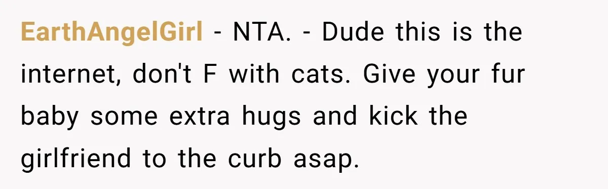 Boyfriend Comes Home To Missing Cat, Learns Girlfriend's Action And Serves Her Eviction Notice EarthAngelGirl − NTA. - Dude this is the internet, don't F with cats. Give your fur baby some extra hugs and kick the girlfriend to the curb asap.