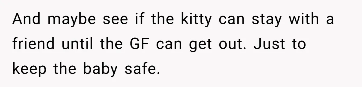 Boyfriend Comes Home To Missing Cat, Learns Girlfriend's Action And Serves Her Eviction Notice And maybe see if the kitty can stay with a friend until the GF can get out. Just to keep the baby safe.