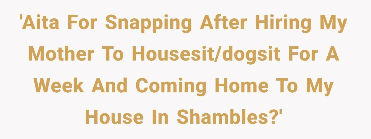 Man Hires Mom To Housesit, Returns To A Disaster Zone And Gets Called Ungrateful 'AITA for snapping after hiring my mother to housesit/dogsit for a week and coming home to my house in shambles?'