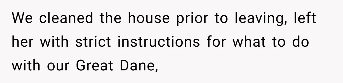 Man Hires Mom To Housesit, Returns To A Disaster Zone And Gets Called Ungrateful We cleaned the house prior to leaving, left her with strict instructions for what to do with our Great Dane,