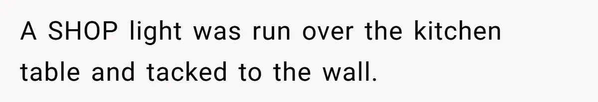 Man Hires Mom To Housesit, Returns To A Disaster Zone And Gets Called Ungrateful A SHOP light was run over the kitchen table and tacked to the wall.