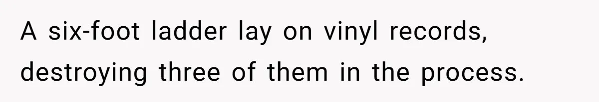 Man Hires Mom To Housesit, Returns To A Disaster Zone And Gets Called Ungrateful A six-foot ladder lay on vinyl records, destroying three of them in the process.