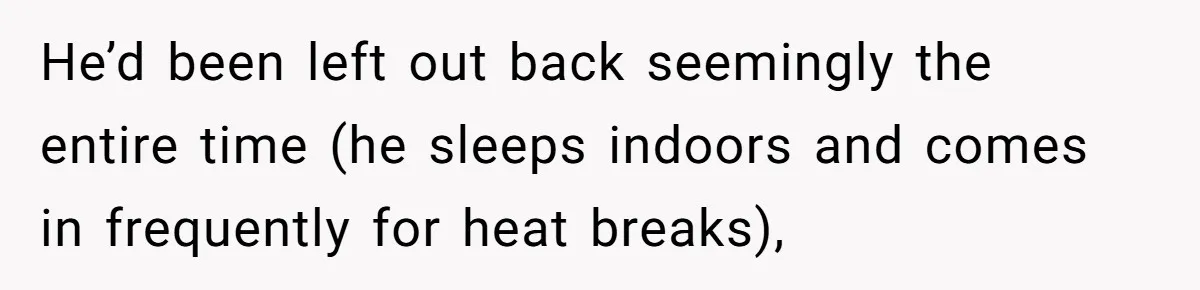 Man Hires Mom To Housesit, Returns To A Disaster Zone And Gets Called Ungrateful He’d been left out back seemingly the entire time (he sleeps indoors and comes in frequently for heat breaks),