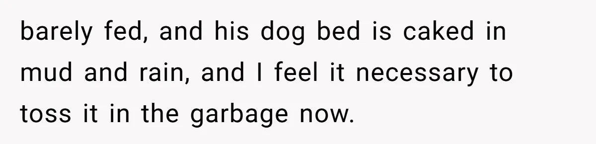 Man Hires Mom To Housesit, Returns To A Disaster Zone And Gets Called Ungrateful barely fed, and his dog bed is caked in mud and rain, and I feel it necessary to toss it in the garbage now.