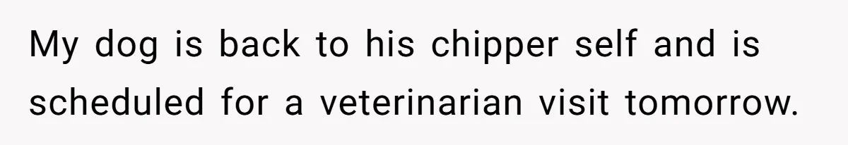 Man Hires Mom To Housesit, Returns To A Disaster Zone And Gets Called Ungrateful My dog is back to his chipper self and is scheduled for a veterinarian visit tomorrow.