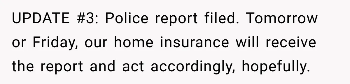 Man Hires Mom To Housesit, Returns To A Disaster Zone And Gets Called Ungrateful UPDATE #3: Police report filed. Tomorrow or Friday, our home insurance will receive the report and act accordingly, hopefully.