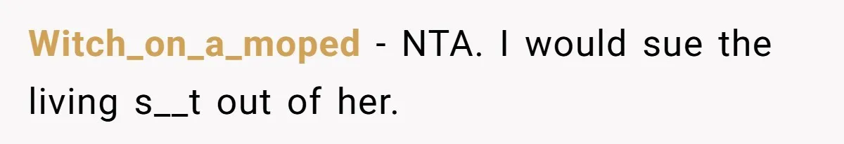 Man Hires Mom To Housesit, Returns To A Disaster Zone And Gets Called Ungrateful Witch_on_a_moped − NTA. I would sue the living s__t out of her.