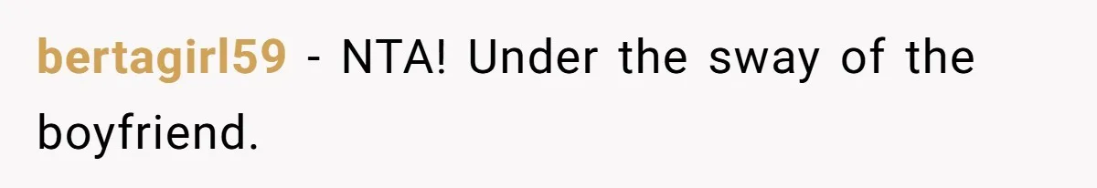 Man Hires Mom To Housesit, Returns To A Disaster Zone And Gets Called Ungrateful bertagirl59 − NTA! Under the sway of the boyfriend.