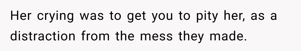Man Hires Mom To Housesit, Returns To A Disaster Zone And Gets Called Ungrateful Her crying was to get you to pity her, as a distraction from the mess they made.