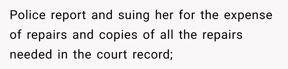 Man Hires Mom To Housesit, Returns To A Disaster Zone And Gets Called Ungrateful Police report and suing her for the expense of repairs and copies of all the repairs needed in the court record;