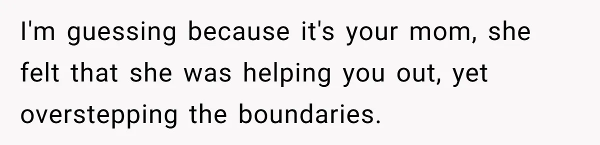 Man Hires Mom To Housesit, Returns To A Disaster Zone And Gets Called Ungrateful I'm guessing because it's your mom, she felt that she was helping you out, yet overstepping the boundaries.