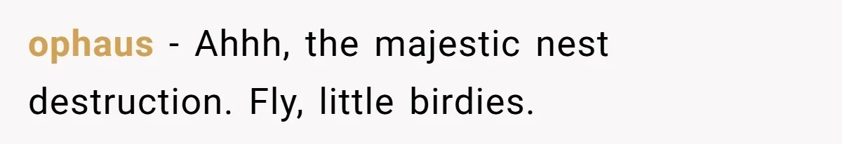 Widower Sells Family Home and Gives Stepchildren $10K Each After They Refuse to Contribute ophaus − Ahhh, the majestic nest destruction. Fly, little birdies.