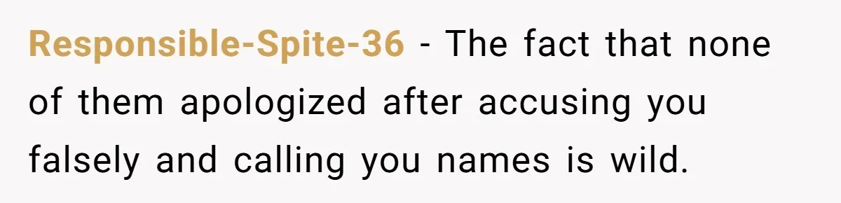 Man Rejects Wife’s Advances After She Believes Child’s Drawing Proves Infidelity Responsible-Spite-36 − The fact that none of them apologized after accusing you falsely and calling you names is wild.