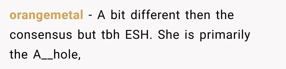 Sibling Lends Sister Car For Months Then Calls Police When She Sneaks Off With It orangemetal − A bit different then the consensus but tbh ESH. She is primarily the A__hole,