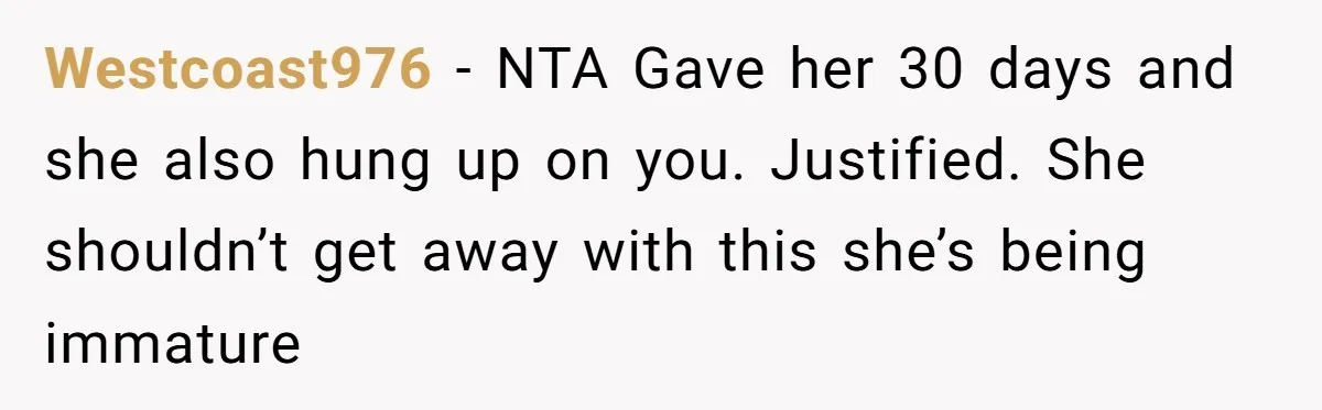 Sibling Lends Sister Car For Months Then Calls Police When She Sneaks Off With It Westcoast976 − NTA Gave her 30 days and she also hung up on you. Justified. She shouldn’t get away with this she’s being immature