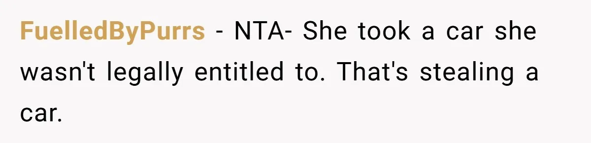 Sibling Lends Sister Car For Months Then Calls Police When She Sneaks Off With It FuelledByPurrs − NTA- She took a car she wasn't legally entitled to. That's stealing a car.