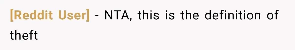 [Reddit User] − NTA, this is the definition of theft