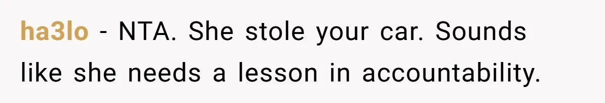 Sibling Lends Sister Car For Months Then Calls Police When She Sneaks Off With It ha3lo − NTA. She stole your car. Sounds like she needs a lesson in accountability.