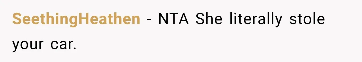 Sibling Lends Sister Car For Months Then Calls Police When She Sneaks Off With It SeethingHeathen − NTA She literally stole your car.