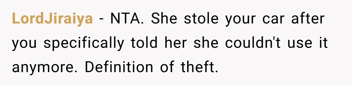 Sibling Lends Sister Car For Months Then Calls Police When She Sneaks Off With It LordJiraiya − NTA. She stole your car after you specifically told her she couldn't use it anymore. Definition of theft.