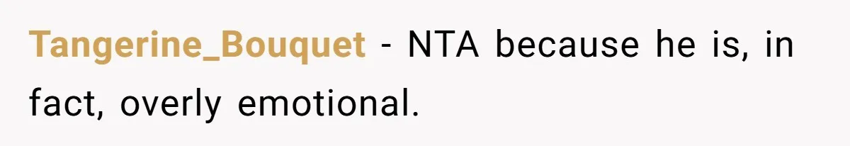 Coworker Explodes After Engineer Calls Him “Emotional,” Office Quietly Takes Her Side Tangerine_Bouquet − NTA because he is, in fact, overly emotional.