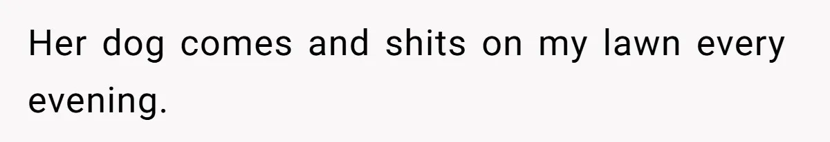 Her dog comes and shits on my lawn every evening.