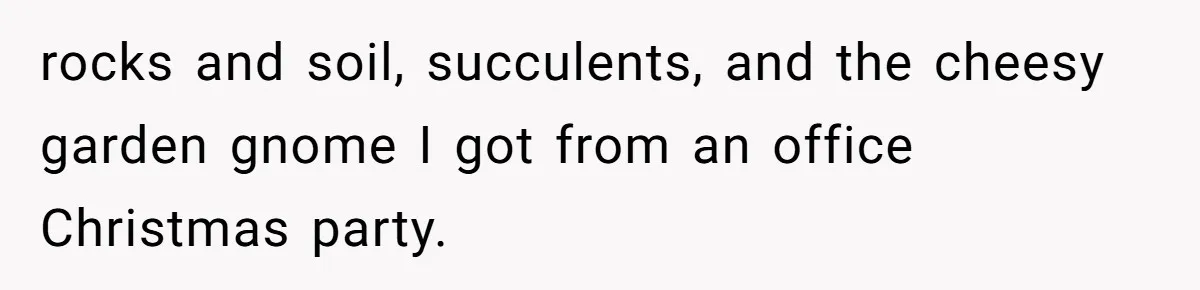 rocks and soil, succulents, and the cheesy garden gnome I got from an office Christmas party.