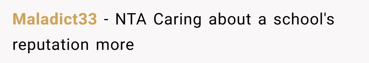 Author Tells Student The Truth About School Bullying, Community Explodes After Teacher Loses Lifetime Award Maladict33 − NTA Caring about a school's reputation more