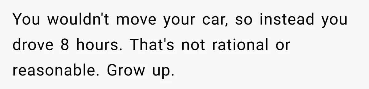 You wouldn't move your car, so instead you drove 8 hours. That's not rational or reasonable. Grow up.
