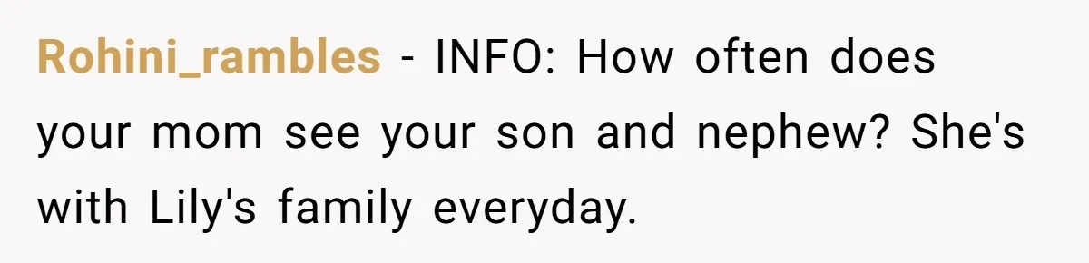 Rohini_rambles − INFO: How often does your mom see your son and nephew? She's with Lily's family everyday.