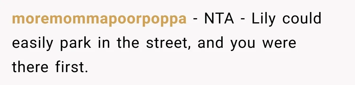 moremommapoorpoppa − NTA - Lily could easily park in the street, and you were there first.