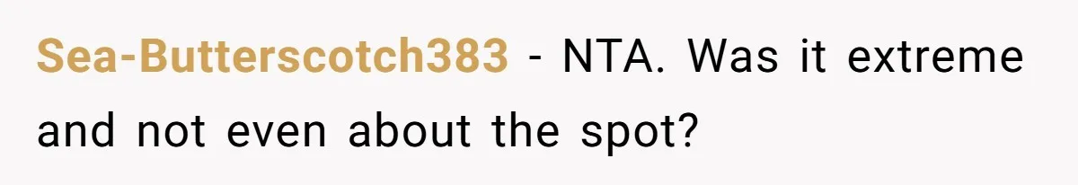 Sea-Butterscotch383 − NTA. Was it extreme and not even about the spot?