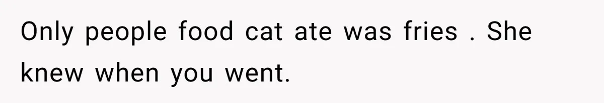 Husband Films Wife Stealing All His Fries, She Explodes Then Turns Her Anger On Their Son Only people food cat ate was fries . She knew when you went.