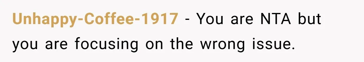 Fiancé’s Best Friend Keeps Taking His Stuff, He Finally Draws The Line And Calls The Cops Unhappy-Coffee-1917 − You are NTA but you are focusing on the wrong issue.