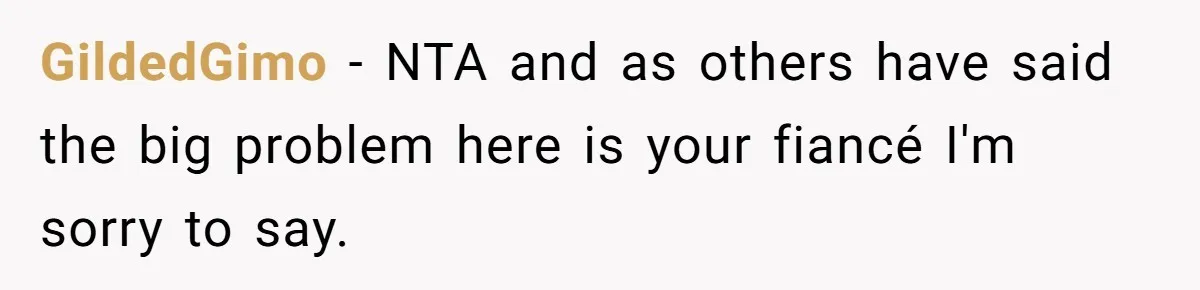Fiancé’s Best Friend Keeps Taking His Stuff, He Finally Draws The Line And Calls The Cops GildedGimo − NTA and as others have said the big problem here is your fiancé I'm sorry to say.