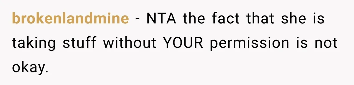 Fiancé’s Best Friend Keeps Taking His Stuff, He Finally Draws The Line And Calls The Cops brokenlandmine − NTA the fact that she is taking stuff without YOUR permission is not okay.