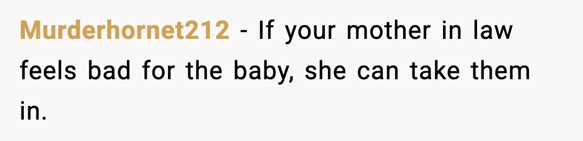 Man’s Affair Partner Moves Into His House While He's in Dubai Murderhornet212 - If your mother in law feels bad for the baby, she can take them in.