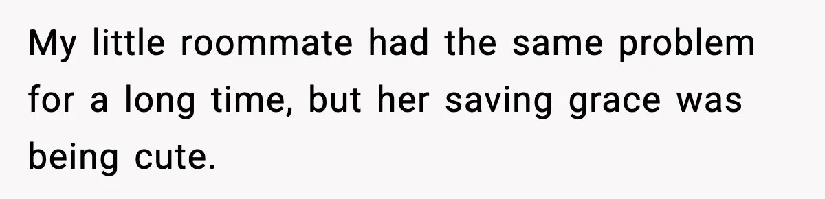 Roommate Wakes Couple At 3 AM For Snacks Every Night, Then Reveals A Wild Plot Twist My little roommate had the same problem for a long time, but her saving grace was being cute.