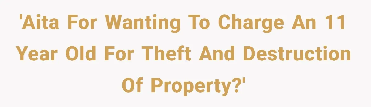 Parent Considers Pressing Charges Against 11-Year-Old Who Stole and Destroyed Their Son’s Phone - AITA?” 'AITA for wanting to charge an 11 year old for theft and destruction of property?'