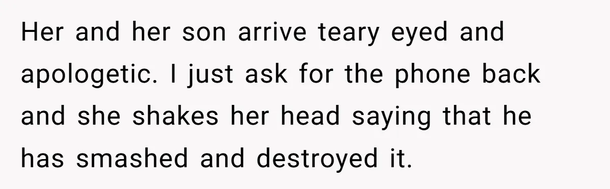 Parent Considers Pressing Charges Against 11-Year-Old Who Stole and Destroyed Their Son’s Phone - AITA?” Her and her son arrive teary eyed and apologetic. I just ask for the phone back and she shakes her head saying that he has smashed and destroyed it.