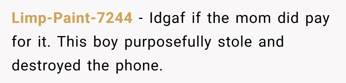Parent Considers Pressing Charges Against 11-Year-Old Who Stole and Destroyed Their Son’s Phone - AITA?” Limp-Paint-7244 − Idgaf if the mom did pay for it. This boy purposefully stole and destroyed the phone.