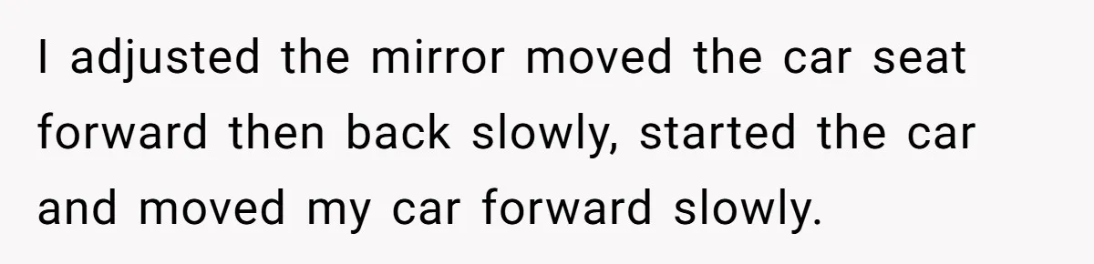Homeowner Blocks Trespassing Parent in Driveway After Repeatedly Being Stopped I adjusted the mirror moved the car seat forward then back slowly, started the car and moved my car forward slowly.
