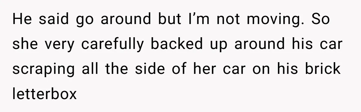 Homeowner Blocks Trespassing Parent in Driveway After Repeatedly Being Stopped He said go around but I’m not moving. So she very carefully backed up around his car scraping all the side of her car on his brick letterbox