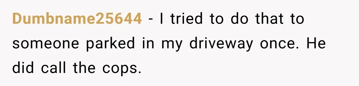 Homeowner Blocks Trespassing Parent in Driveway After Repeatedly Being Stopped Dumbname25644 − I tried to do that to someone parked in my driveway once. He did call the cops.
