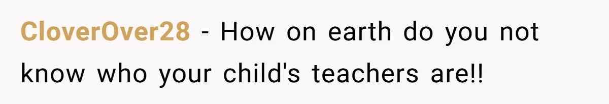 Entitled Mom Mistakes Random Visitor For Daycare Worker And Demands She Gets Fired Immediately CloverOver28 − How on earth do you not know who your child's teachers are!!