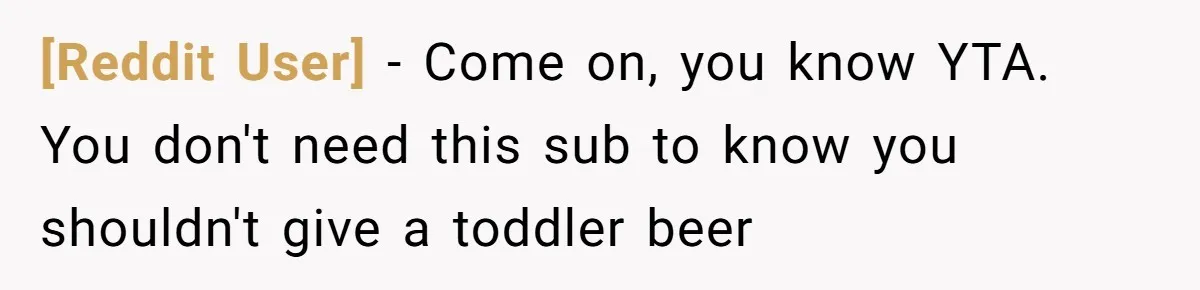 [Reddit User] − Come on, you know YTA. You don't need this sub to know you shouldn't give a toddler beer