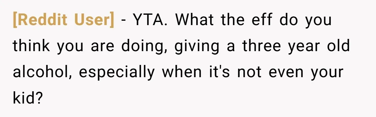 [Reddit User] − YTA. What the eff do you think you are doing, giving a three year old alcohol, especially when it's not even your kid?
