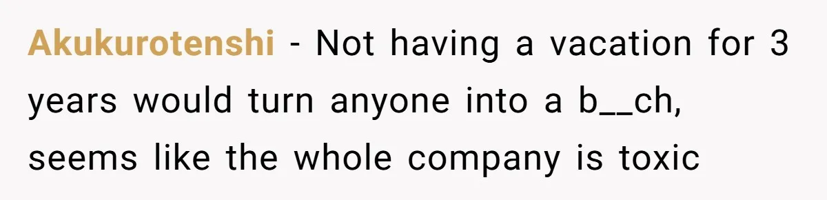 Employee Quits Toxic Job Right Before Coworker's First Vacation In Years And Watches Chaos Unfold Akukurotenshi − Not having a vacation for 3 years would turn anyone into a b__ch, seems like the whole company is toxic