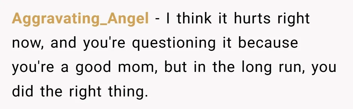 Daycare Nearly Kicks Out Toddler After Dad’s No-Shows, But He Blames Mom For “Abandoning” Him Aggravating_Angel − I think it hurts right now, and you're questioning it because you're a good mom, but in the long run, you did the right thing.